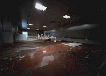 Foto 9 - Capannone contrada san silvestro
 
83, Cupra Marittima - foto 9