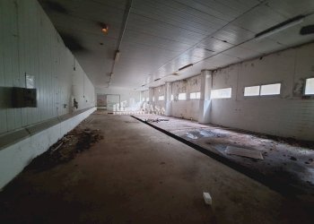 Foto 11 - Capannone contrada san silvestro
 
83, Cupra Marittima - foto 11