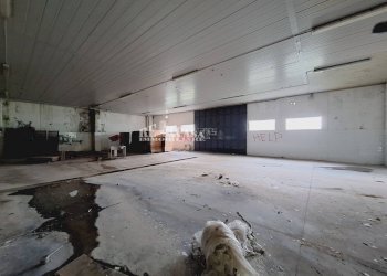 Foto 12 - Capannone contrada san silvestro
 
83, Cupra Marittima - foto 12