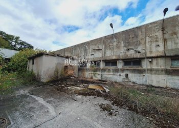 Foto 13 - Capannone contrada san silvestro
 
83, Cupra Marittima - foto 13