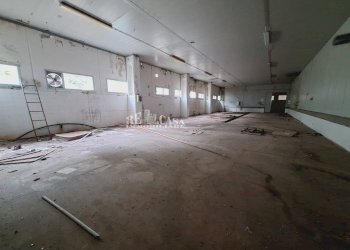 Foto 16 - Capannone contrada san silvestro
 
83, Cupra Marittima - foto 16