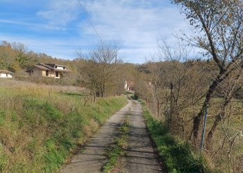 Foto 35 - Villa Via Cirello
 
100, Ceccano - foto 35