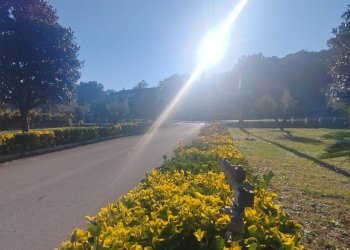 Foto 11 - Monolocale via ceriara di priverno, Priverno - foto 11