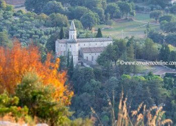 Foto 5 - Quadrilocale Via Auricola
 
18, Amaseno - foto 5