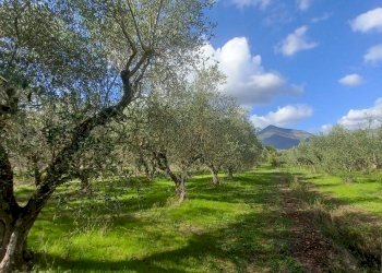 Foto 3 - Terreno agricolo Carpinetana, Maenza - foto 3