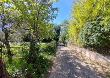 Foto 4 - Terreno agricolo Via Fontana Fuori, Maenza - foto 4