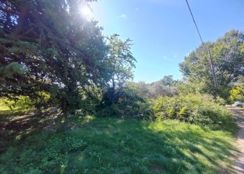 Foto 8 - Terreno agricolo Via Fontana Fuori, Maenza - foto 8