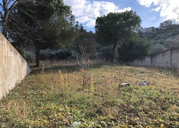 Foto 12 - Locale Commerciale Tortoreto - foto 12