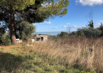 Foto 13 - Locale Commerciale Tortoreto - foto 13