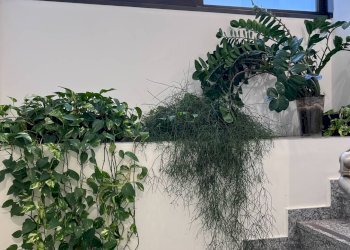 Foto 13 - Capannone via Albert Einstein
32, Assago - foto 13