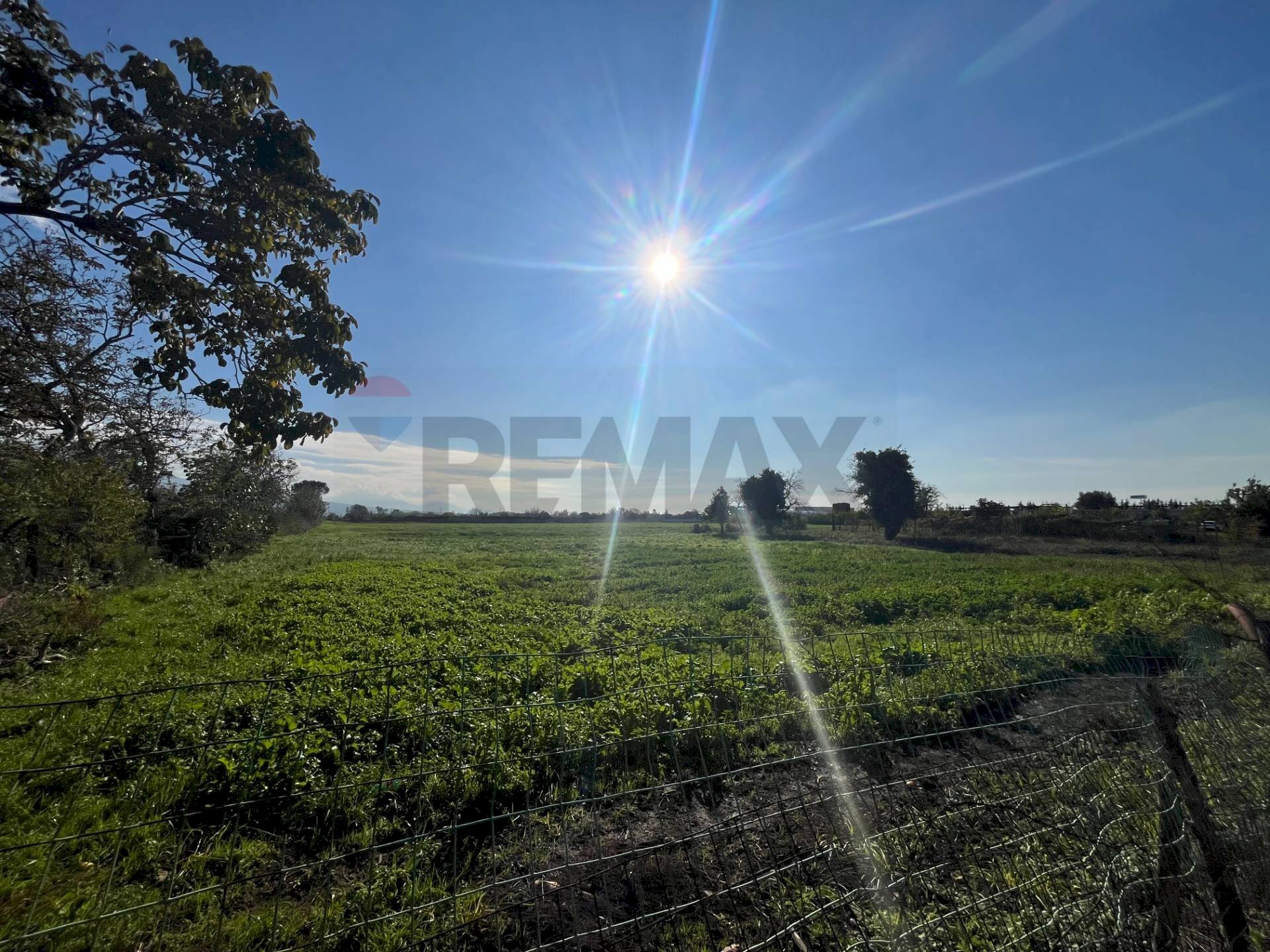 Non correlato - Terreno agricolo via Fosso del Torricchio
 
7, Casoria - foto 1