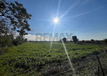 Non correlato - Terreno agricolo via Fosso del Torricchio
 
7, Casoria - foto 1
