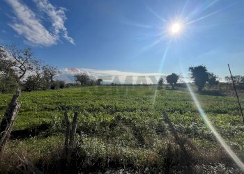 Non correlato - Terreno agricolo via Fosso del Torricchio
 
7, Casoria - foto 2