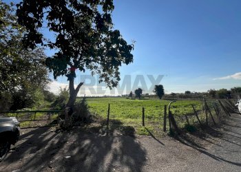 Giardino - Terreno agricolo via Fosso del Torricchio
 
7, Casoria - foto 3