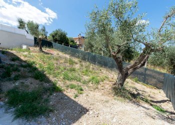 Giardino - Casa semi indipendente VIA CARLO CATTANEO, Monterotondo - foto 11