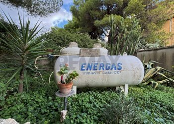 Giardino - Villa Stradale Bellolampo
 
4730, Palermo - foto 50