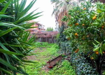 Giardino - Appartamento Via Pavia
 
16, Catania - foto 7