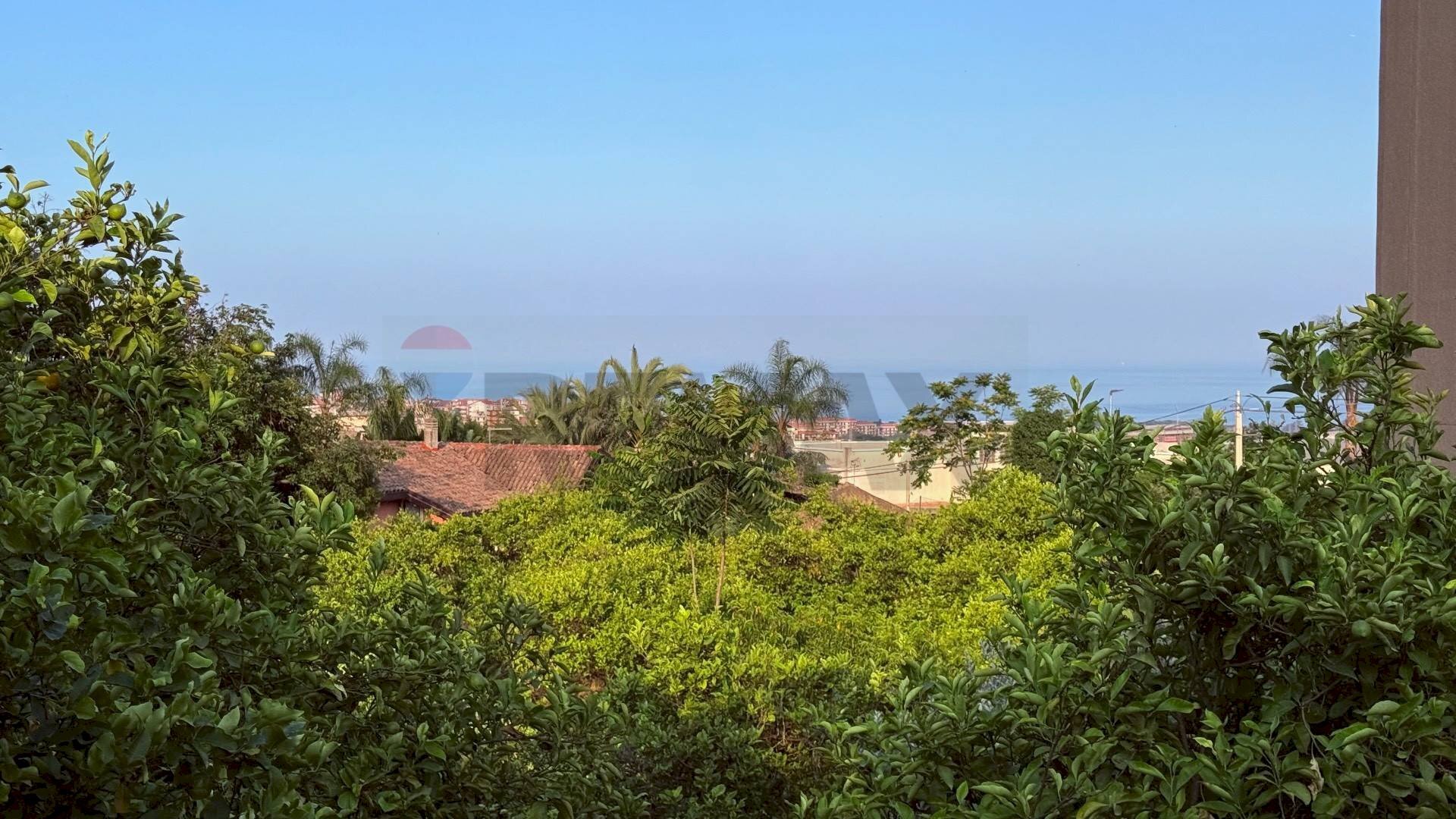 Giardino - Terreno agricolo Via Scale Santantonio, Aci Catena - foto 1