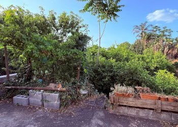 Giardino - Terreno agricolo Via Scale Santantonio, Aci Catena - foto 3