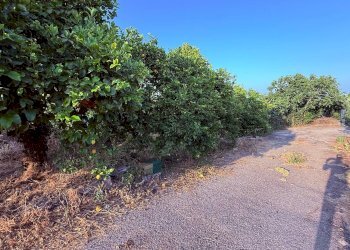 Giardino - Terreno agricolo Via Scale Santantonio, Aci Catena - foto 8