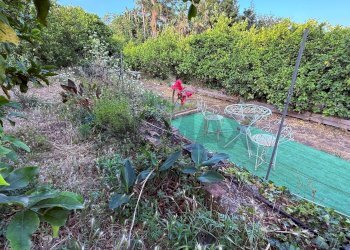 Giardino - Terreno agricolo Via Scale Santantonio, Aci Catena - foto 9