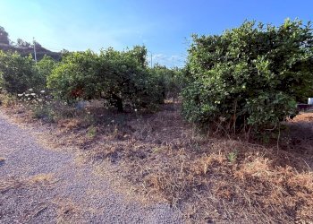 Giardino - Terreno agricolo Via Scale Santantonio, Aci Catena - foto 10