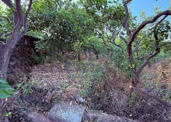 Giardino - Terreno agricolo Via Scale Santantonio, Aci Catena - foto 12