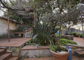 Giardino - Casa indipendente Via Umberto
 
189, San Gregorio di Catania - foto 24