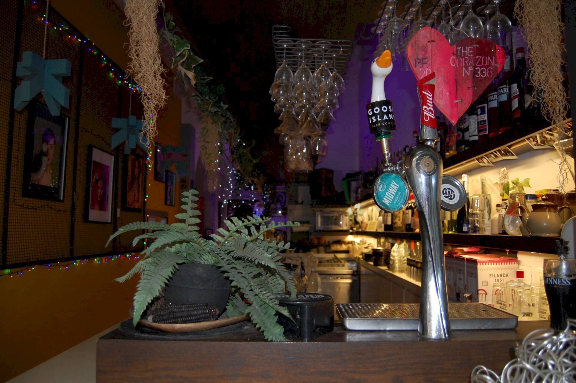 Non correlato - Commercial Activity Firenze - photo 1