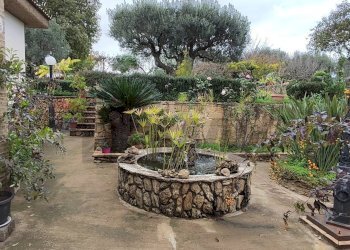 Giardino - Villa CONTRADA REGALSEMI
 
SNC, Caltagirone - foto 14
