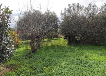 Giardino - Villa CONTRADA REGALSEMI
 
SNC, Caltagirone - foto 16