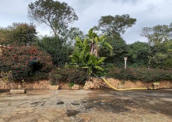 Giardino - Villa CONTRADA REGALSEMI
 
SNC, Caltagirone - foto 18