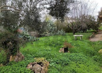 Giardino - Villa CONTRADA REGALSEMI
 
SNC, Caltagirone - foto 20