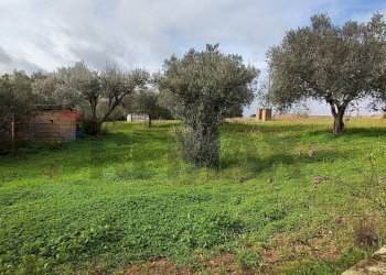 Giardino - Villa CONTRADA REGALSEMI
 
SNC, Caltagirone - foto 32