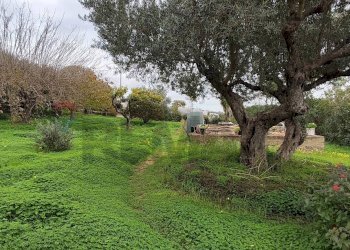 Giardino - Villa CONTRADA REGALSEMI
 
SNC, Caltagirone - foto 33