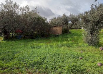 Giardino - Villa CONTRADA REGALSEMI
 
SNC, Caltagirone - foto 35