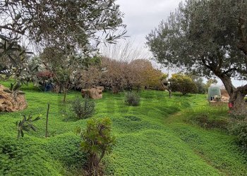 Giardino - Villa CONTRADA REGALSEMI
 
SNC, Caltagirone - foto 37