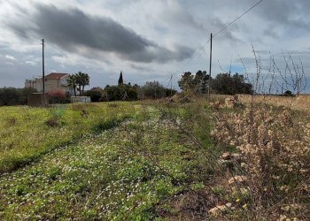 Giardino - Villa CONTRADA REGALSEMI
 
SNC, Caltagirone - foto 38