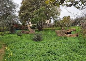 Giardino - Villa CONTRADA REGALSEMI
 
SNC, Caltagirone - foto 39