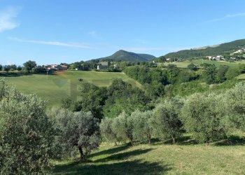 Vista delle montagne - Rustic Cingoli - photo 11