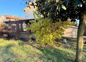 Giardino - Casa indipendente Mezzanino - foto 9