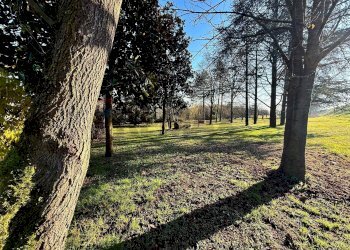 Giardino - Casa indipendente Mezzanino - foto 47