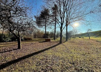 Giardino - Casa indipendente Mezzanino - foto 49