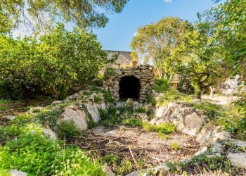 Foto 63 - Stabile - Palazzo Piazza Dei Caduti, Sogliano Cavour - foto 63