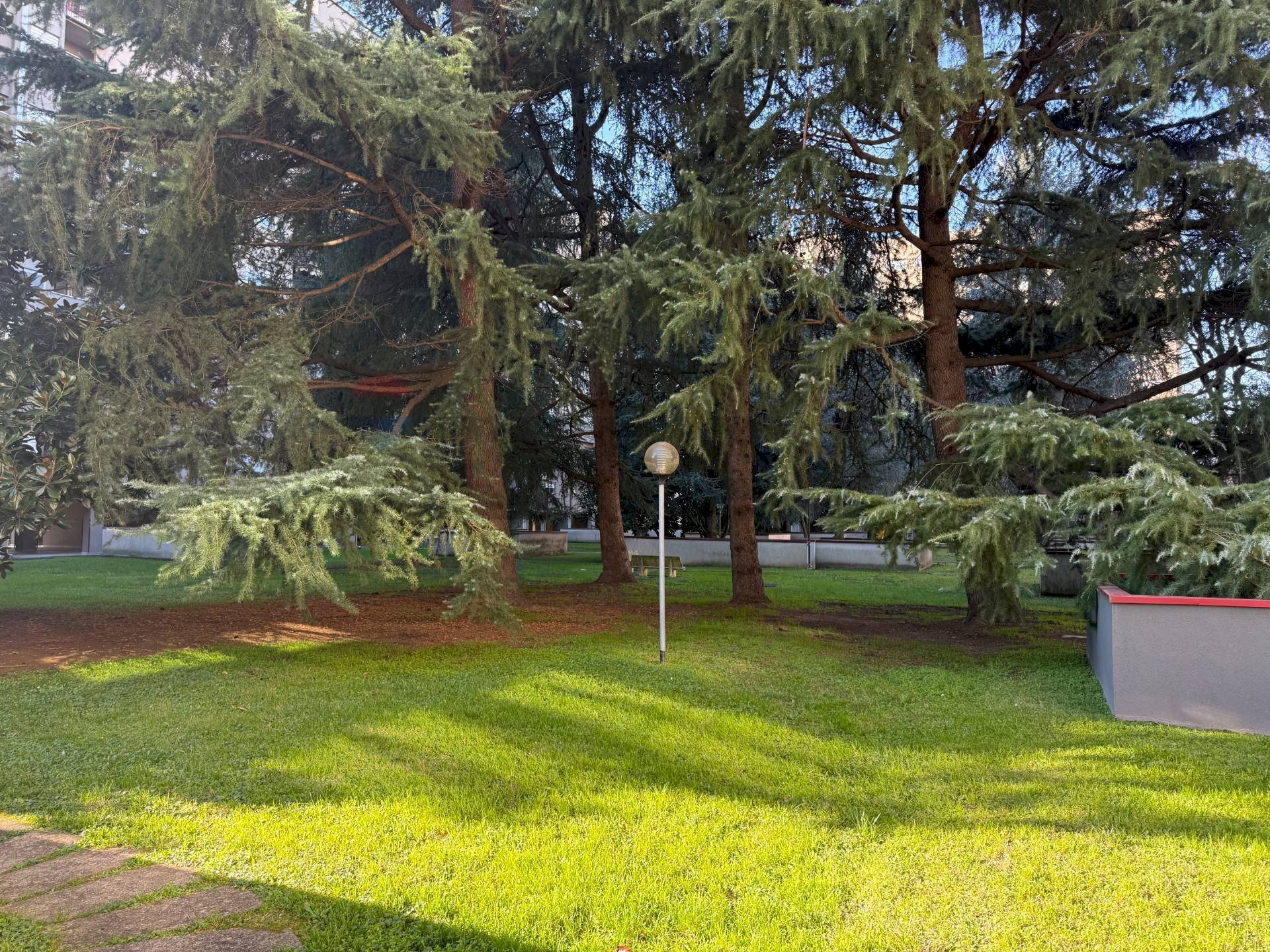 Giardino - Quadrilocale Via Omodeo
 
29, Milano - foto 3