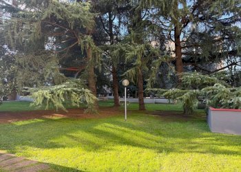 Giardino - Quadrilocale Via Omodeo
 
29, Milano - foto 3