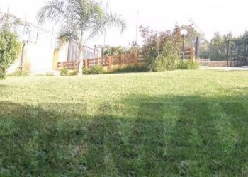 Giardino - Villa Strada Vicinale Quattro Finaite
 
22, Casteldaccia - foto 29