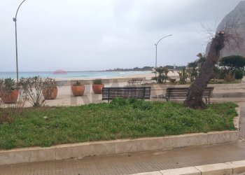 Giardino - Bilocale via Litoranea
 
8, San Vito Lo Capo - foto 12