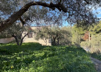 Giardino - Villa contrada traversa
 
snc, Ventimiglia di Sicilia - foto 4