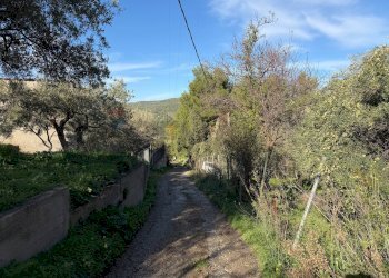 Giardino - Villa contrada traversa
 
snc, Ventimiglia di Sicilia - foto 6